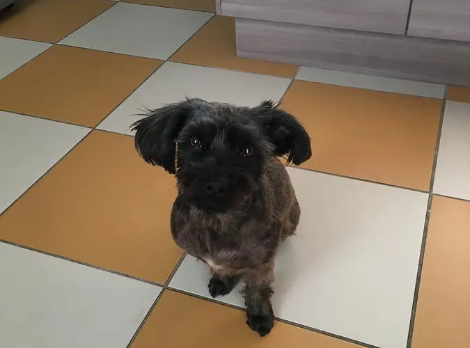 The Corner Alojamento de Acomodação e Pequeno-almoço 4*