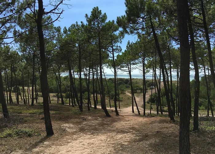 The Corner Noirmoutier-en-l'Ile