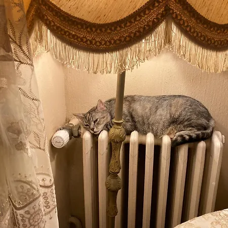 Bed and Breakfast The Corner 3*