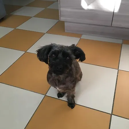 The Corner Alojamento de Acomodação e Pequeno-almoço 4*