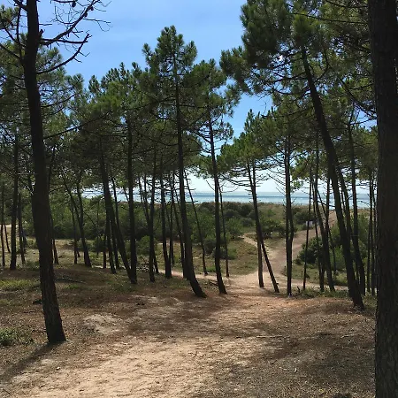 The Corner Noirmoutier-en-l'Ile